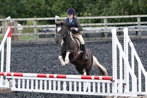 Class 2 -  Fences not above 2'